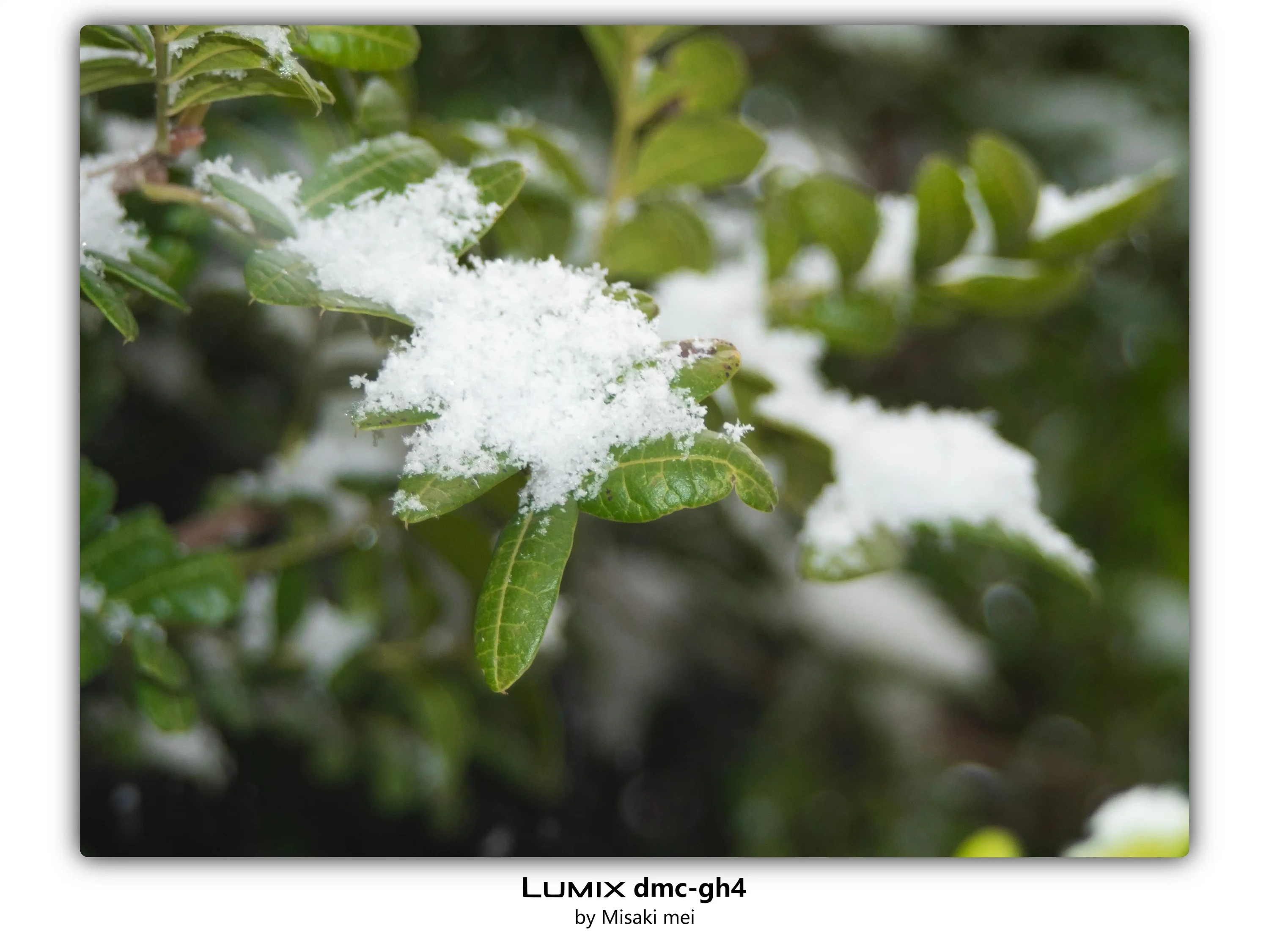 Frames 18 · Snow