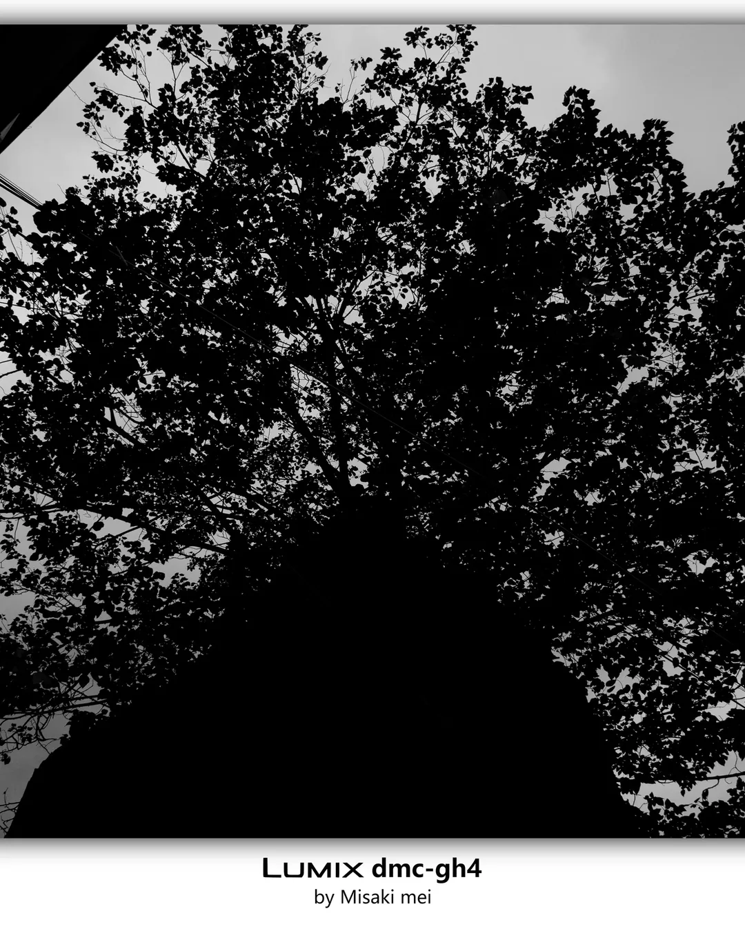 Frames 18 · Snow