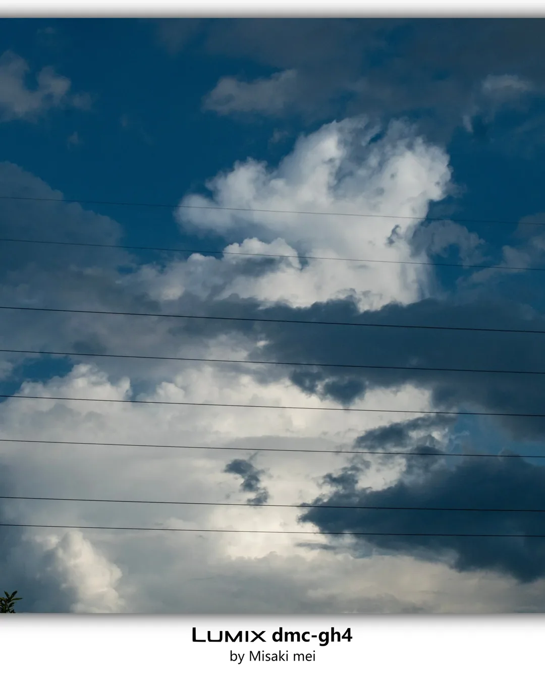 系列 17 · 黑白 · 静物