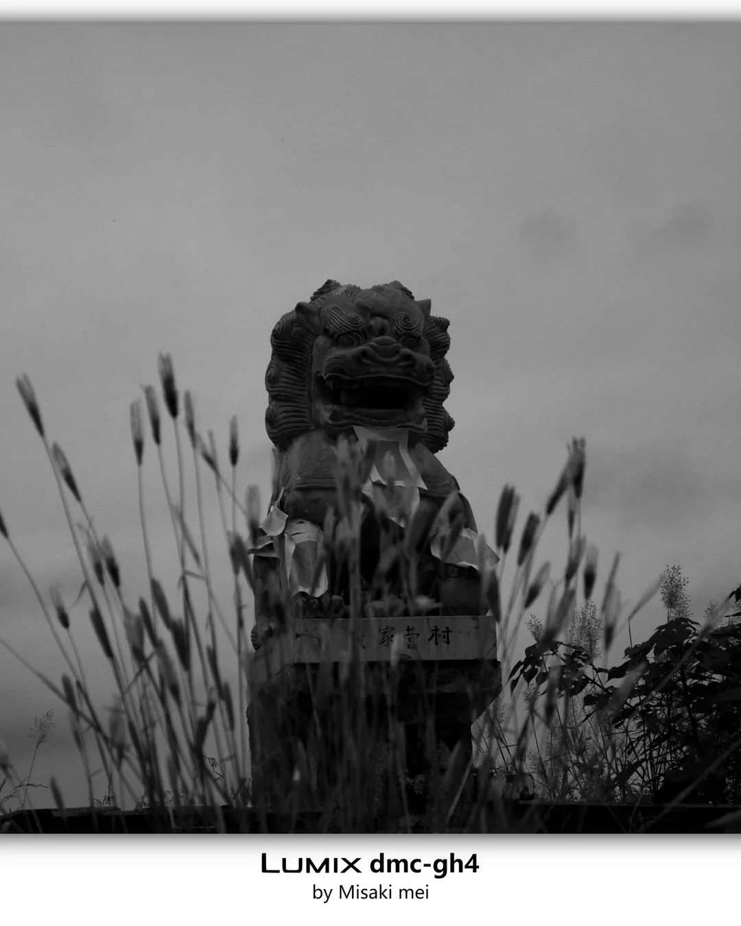 Frames 18 · Snow