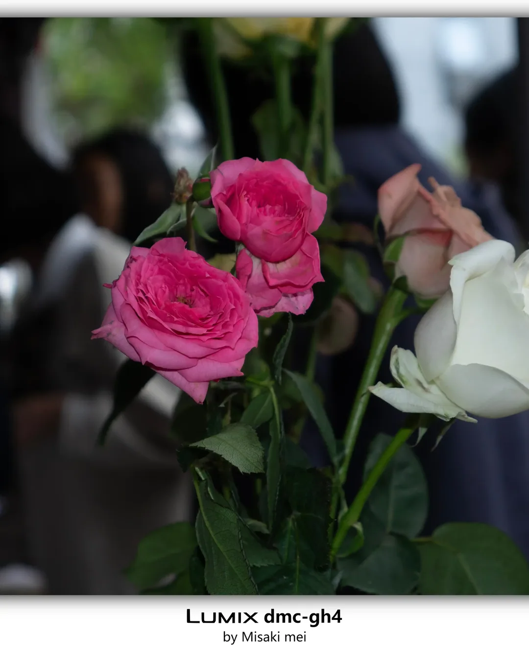 Frames 20 · Twilight